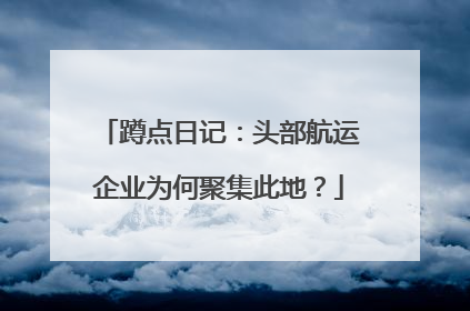 蹲点日记：头部航运企业为何聚集此地？