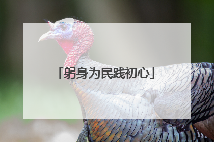 躬身为民践初心