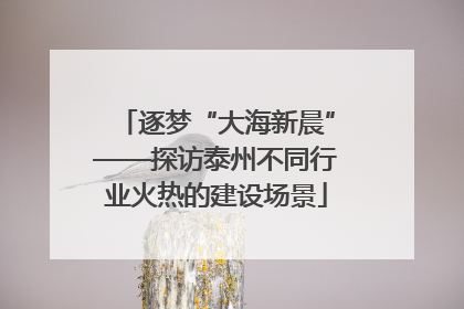 逐梦“大海新晨”——探访泰州不同行业火热的建设场景
