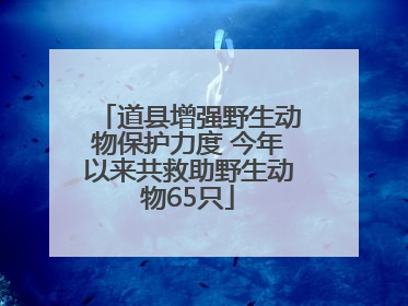 道县增强野生动物保护力度 今年以来共救助野生动物65只
