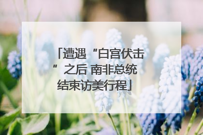 遭遇“白宫伏击”之后 南非总统结束访美行程