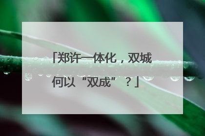 郑许一体化，双城何以“双成”？