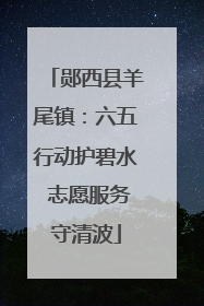 郧西县羊尾镇：六五行动护碧水 志愿服务守清波