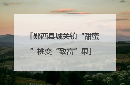 郧西县城关镇“甜蜜”桃变“致富”果
