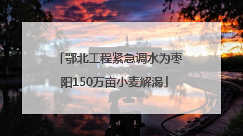 鄂北工程紧急调水为枣阳150万亩小麦解渴