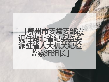鄂州市委常委邹霞调任湖北省纪委监委派驻省人大机关纪检监察组组长