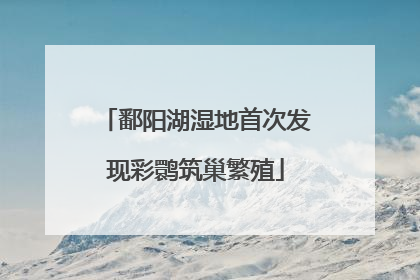 鄱阳湖湿地首次发现彩鹮筑巢繁殖