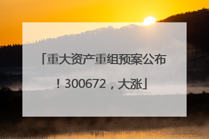 重大资产重组预案公布！300672，大涨