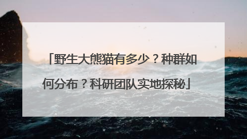 野生大熊猫有多少？种群如何分布？科研团队实地探秘