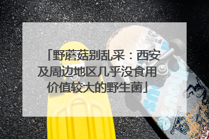野蘑菇别乱采：西安及周边地区几乎没食用价值较大的野生菌