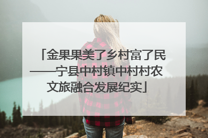 金果果美了乡村富了民——宁县中村镇中村村农文旅融合发展纪实