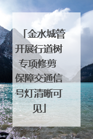 金水城管开展行道树专项修剪 保障交通信号灯清晰可见
