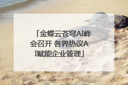 金蝶云苍穹AI峰会召开 各界热议AI赋能企业管理