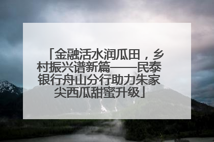 金融活水润瓜田，乡村振兴谱新篇——民泰银行舟山分行助力朱家尖西瓜甜蜜升级
