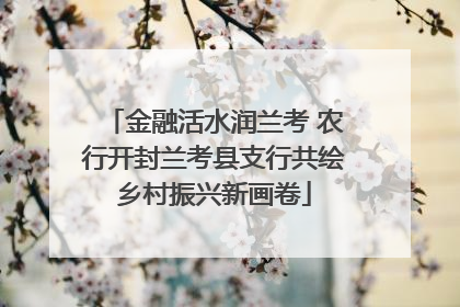 金融活水润兰考 农行开封兰考县支行共绘乡村振兴新画卷