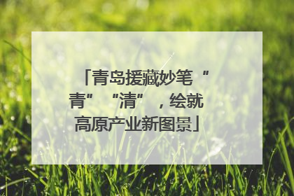 青岛援藏妙笔“青”“清”，绘就高原产业新图景