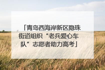 青岛西海岸新区隐珠街道组织“老兵爱心车队”志愿者助力高考