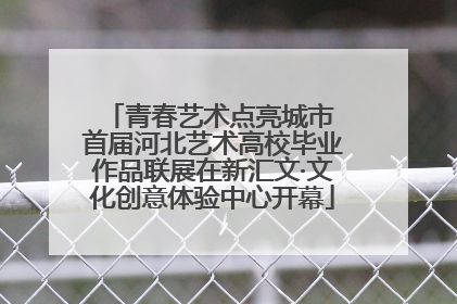 青春艺术点亮城市 首届河北艺术高校毕业作品联展在新汇文·文化创意体验中心开幕
