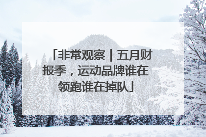 非常观察｜五月财报季，运动品牌谁在领跑谁在掉队