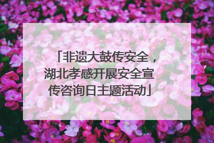 非遗大鼓传安全，湖北孝感开展安全宣传咨询日主题活动