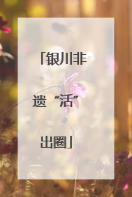 银川非遗“活”出圈