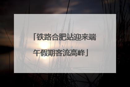 铁路合肥站迎来端午假期客流高峰