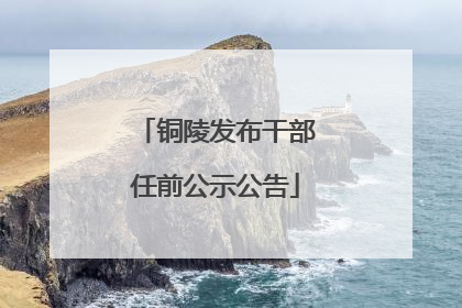 铜陵发布干部任前公示公告