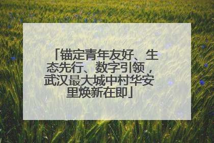 锚定青年友好、生态先行、数字引领，武汉最大城中村华安里焕新在即
