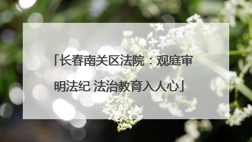 长春南关区法院：观庭审 明法纪 法治教育入人心