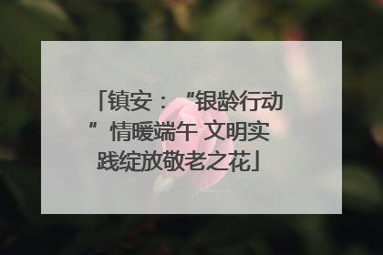 镇安：“银龄行动”情暖端午 文明实践绽放敬老之花
