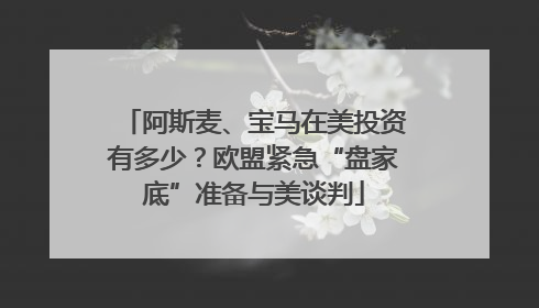 阿斯麦、宝马在美投资有多少？欧盟紧急“盘家底”准备与美谈判
