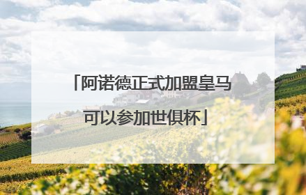 阿诺德正式加盟皇马 可以参加世俱杯