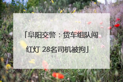 阜阳交警：货车组队闯红灯 28名司机被拘