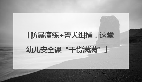 防暴演练+警犬缉捕，这堂幼儿安全课“干货满满”