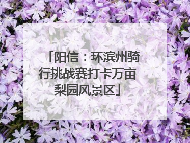 阳信：环滨州骑行挑战赛打卡万亩梨园风景区