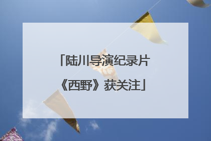 陆川导演纪录片《西野》获关注