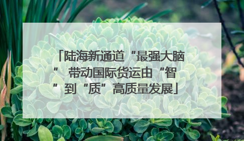 陆海新通道“最强大脑” 带动国际货运由“智”到“质”高质量发展