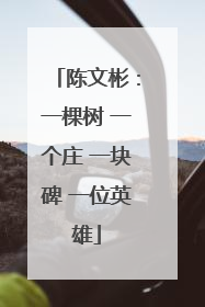 陈文彬：一棵树 一个庄 一块碑 一位英雄
