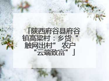 陕西府谷县府谷镇高梁村：乡货“触网出村” 农户“云端致富”