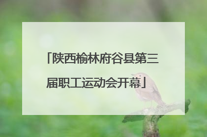 陕西榆林府谷县第三届职工运动会开幕