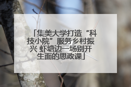 集美大学打造“科技小院”服务乡村振兴 虾塘边一场别开生面的思政课