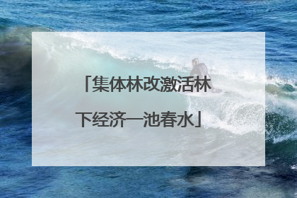 集体林改激活林下经济一池春水