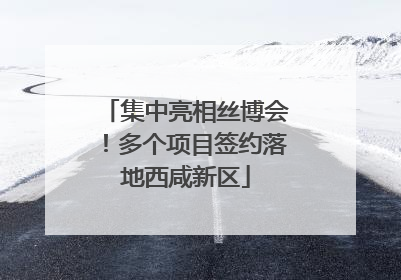 集中亮相丝博会！多个项目签约落地西咸新区