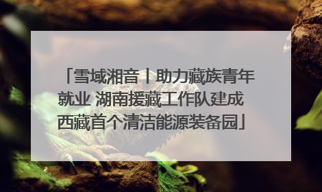 雪域湘音丨助力藏族青年就业 湖南援藏工作队建成西藏首个清洁能源装备园