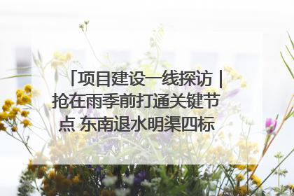 项目建设一线探访｜抢在雨季前打通关键节点 东南退水明渠四标段项目顺利完工