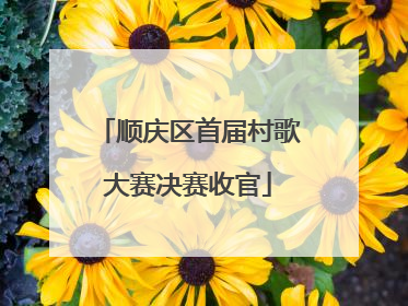 顺庆区首届村歌大赛决赛收官
