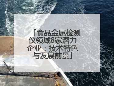食品金属检测仪领域8家潜力企业：技术特色与发展前景