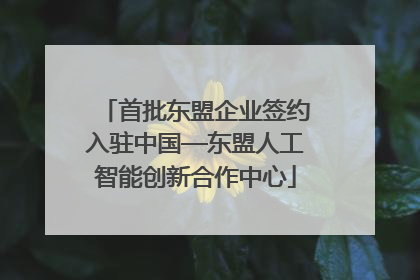 首批东盟企业签约入驻中国—东盟人工智能创新合作中心