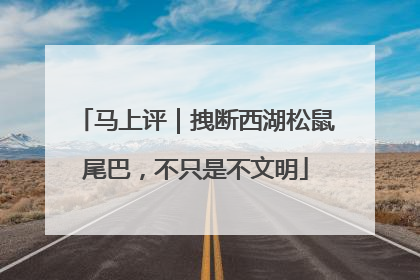 马上评｜拽断西湖松鼠尾巴，不只是不文明