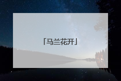 马兰花开